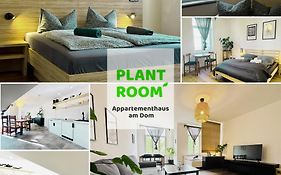 Apartmenthaus Am Dom - Marktplatz, Zentrum, An Der Saale & Park, - Kueche, Wifi